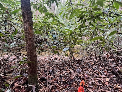 Creek on adjoining greenbelt area from corner of lot 72