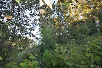 8 Garfield St, Sumas, WA 98295 - photo 3