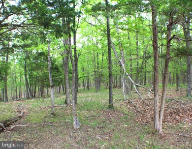 8.01 ac Morgantown Rd, Maysville, WV 26833 - photo 6