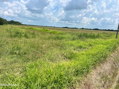 2 Andrew Dr, Church Point, LA 70525 - photo 2