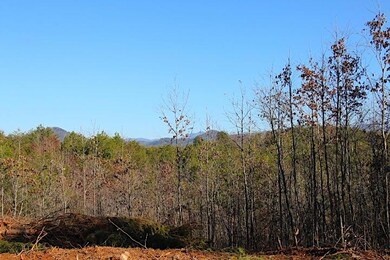 IMG_7486