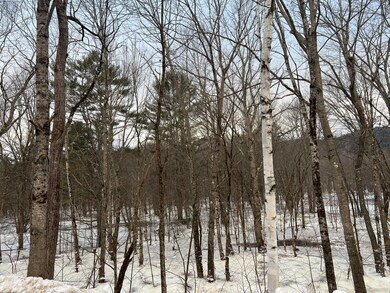 IMG-5266
