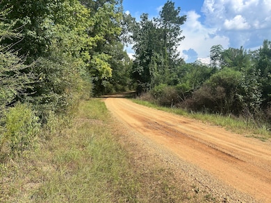 0 Coppell unit 24578243, Centreville, MS 39631 - photo 3