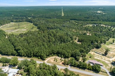 2140 Central Firetower Rd, Lucedale, MS 39452 - photo 2