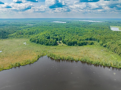 1682 E Turner Lake Rd, Lac Du Flambeau, WI 54538 - photo 4