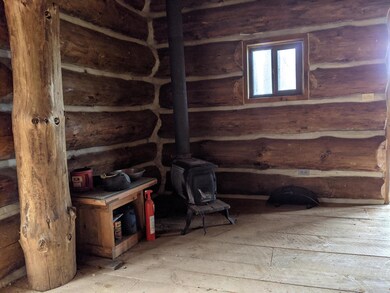 PXL_20210125_182534377.NIGHT