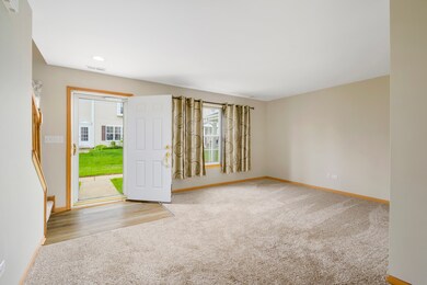 1910 Cherrywood Ct unit 1910, Joliet, IL 60435 - photo 6