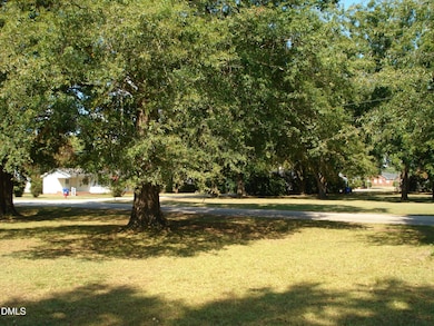 0 W Parrish St, Coats, NC 27521 - photo 5