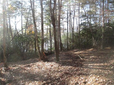 Lot 4F Highlands Way, Tamassee, SC 29686 - photo 5