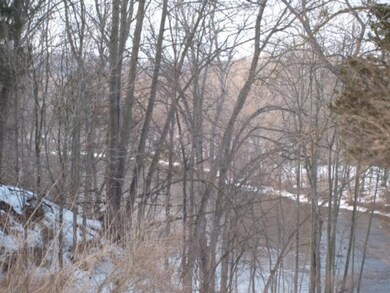 12917 Vergennes St, Lowell, MI 49331 - photo 7