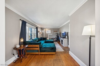 Living room featuring dark wood-type flooring and crown molding