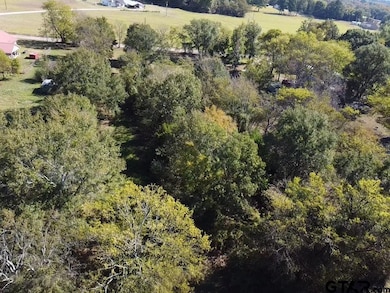 TBD County Road 2940, Alba, TX 75410 - photo 4