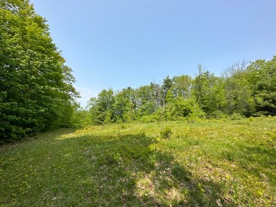 IMG_0591
