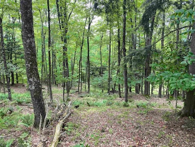 0 Simpson Brook Rd, Waterford, VT 05819 - photo 5