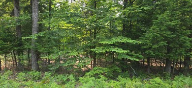 486 N High St, Bridgton, ME 04009 - photo 6