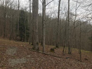 1298 Wesley Chapel Rd, Somerset, KY 42501 - photo 5