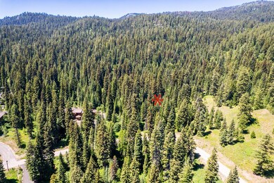 151 Pinnacle Ct unit 47, Tamarack, ID 83615 - photo 6