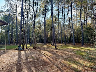 26024 Pineview Dr, Folsom, LA 70446 - photo 3