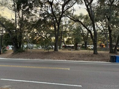 11640 County Road 579, Thonotosassa, FL 33592 - photo 6