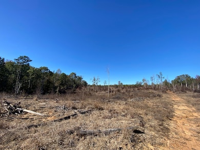 0 Vertie Hoggle Rd, North Perry, AL 36756 - photo 3