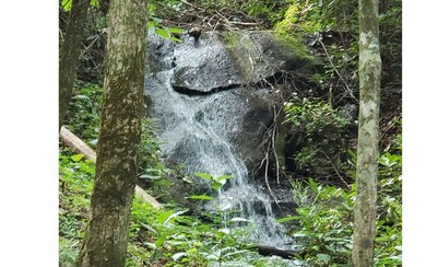 Additional View