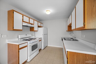1100 Canterbury Ct unit A, Elgin, IL 60120 - photo 7