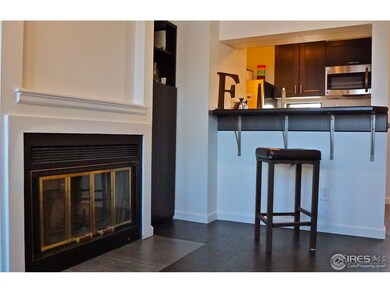 Wood-burning fireplace