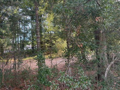 TBD Highway 90, Defuniak Springs, FL 32433 - photo 5