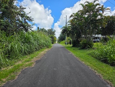 0 Oopu St unit 715884, Hawaiian Beaches, HI 96778 - photo 4