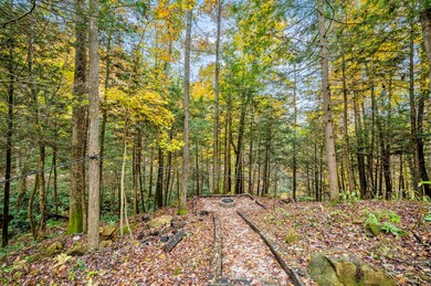 20251103-507-Cave-Hollow-Rd-fh-005