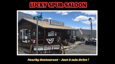 116 Toquima Way, Austin, NV 89310 - photo 6