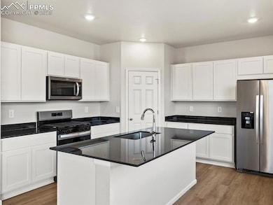 Kitchen featuring appliances with stainless steel finishes, white cabinets, dark wood-style floors, dark stone counters, and a kitchen island with sink