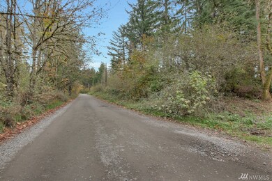 18343 Shenandoah Ln SE, Yelm, WA 98597 - photo 4