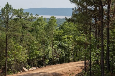 4 Timber Ridge, Tuskahoma, OK 74574 - photo 3