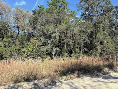 000 NE 78th Ln, Bronson, FL 32621 - photo 2