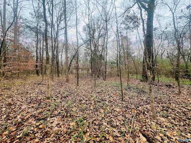 1 ACRE Whitman Cir, Huntsville, AL 35811 - photo 5