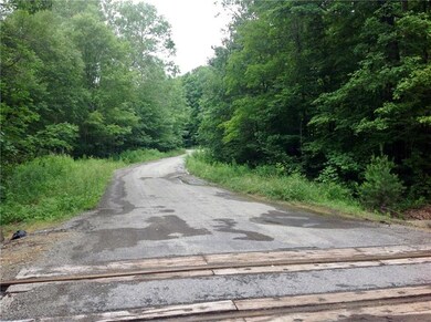 Property begins at these RR tracks- majority of ac