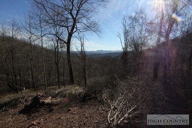 Lot 117 Point Lookout Ln, Independence, VA 24348 - photo 2