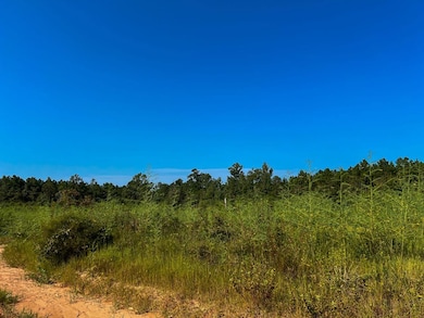 0 Highway 190, Woodville, TX 75979 - photo 3