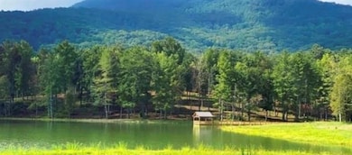 0 Yonah Mountain Rd unit 7661561, Cleveland, GA 30528 - photo 3