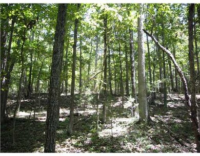 0 Hwy 156 unit 626377, West Fork, AR 72774 - photo 3