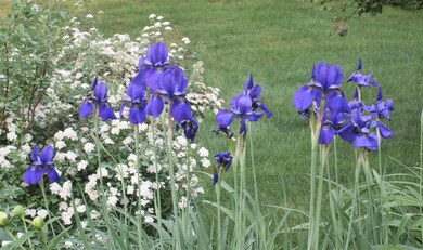 110 Arbor Hill Common unit 24, Brattleboro, VT 05301 - photo 6