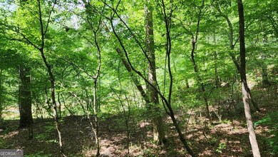 6670 Old Ferry Ct, Douglasville, GA 30135 - photo 5