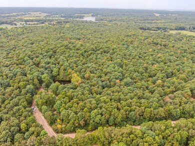 20 Acres Greene 737 Rd, Paragould, AR 72450 - photo 6