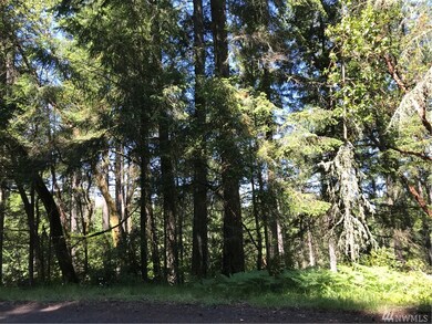 11507 Breaker Way, Anderson Island, WA 98303 - photo 2