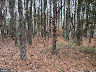 0 Branson Crossing Rd unit 2, Kingston, GA 30145 - photo 7