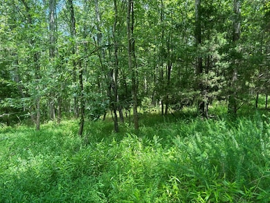 0 River Ridge Dr unit 74567, Sandy Level, VA 24161 - photo 7