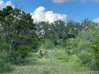 600 County Road 241, Hondo, TX 78861 - photo 4