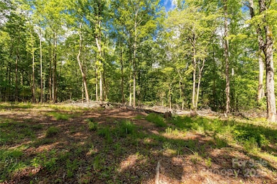 5212 Star Magnolia Ct, Clover, SC 29710 - photo 3