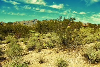 IMG_4045 (2)